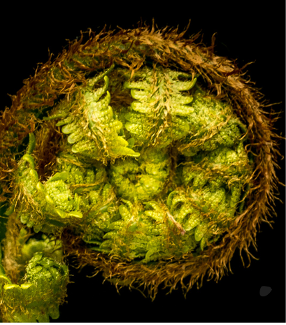 alchemie en therapie