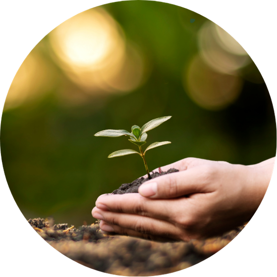 Contact Justin Cooper